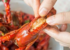 空前火爆的小龙虾市场