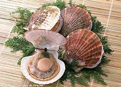 全国海洋伏季休渔暨渤海综合治理专项执法行动启动