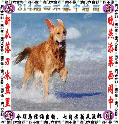 白小姐管家婆四肖八码和巴黎赢了球烧了城与巴黎赢了吗